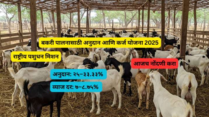 loan/susidy for goat 2025;latest updates