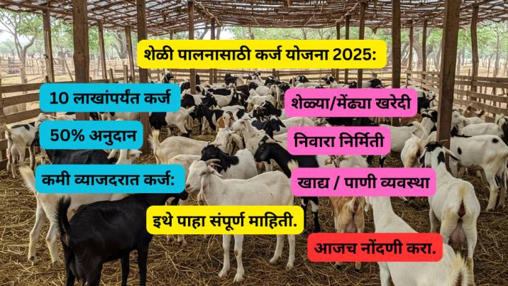 sheli palan loan/susidy yojana 2025 apply/ latest updates