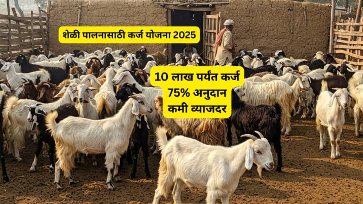 शेळी पालनासाठी कर्ज योजना 2025 (1) sheli palan yojana 2025