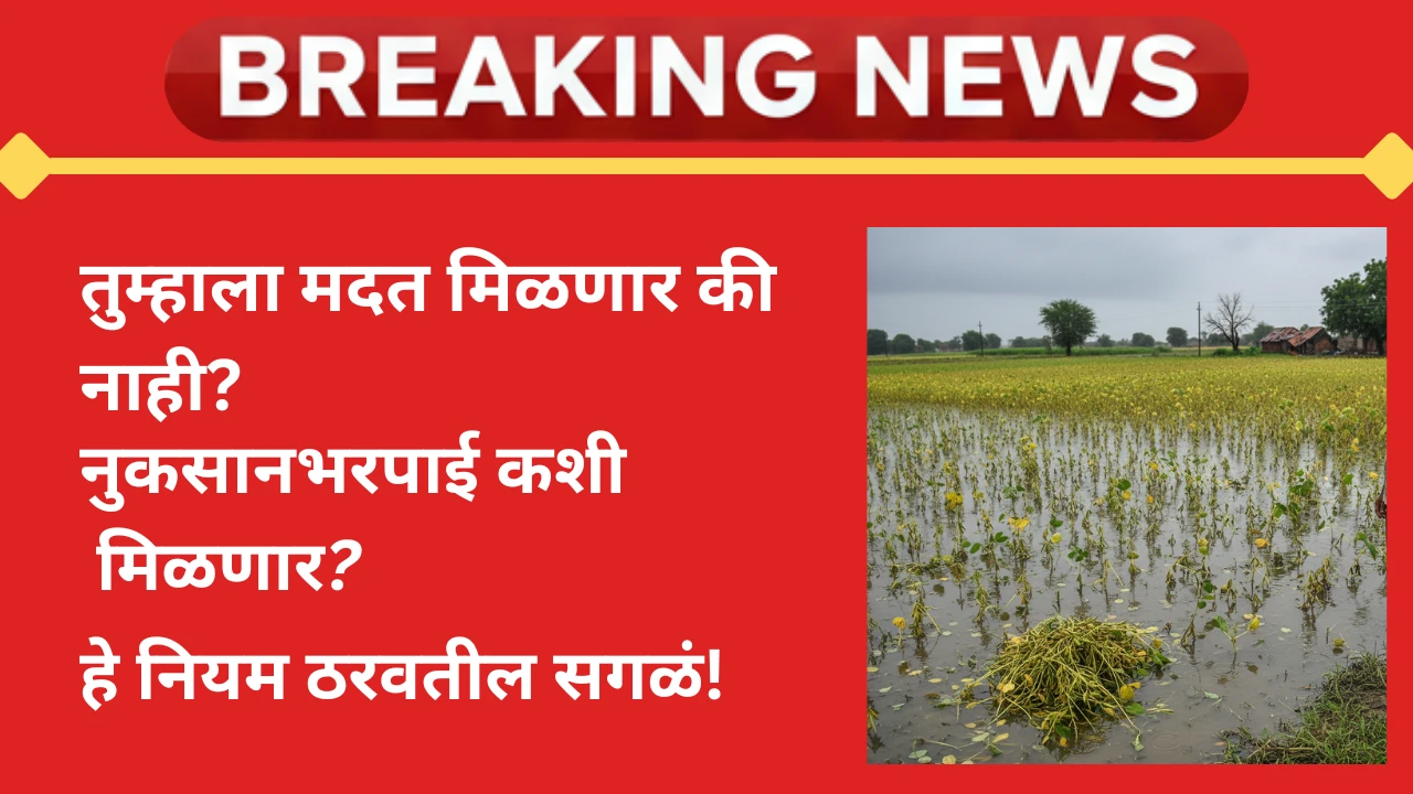maharashtra-heavy-rain-crop-loss-compensation-2025