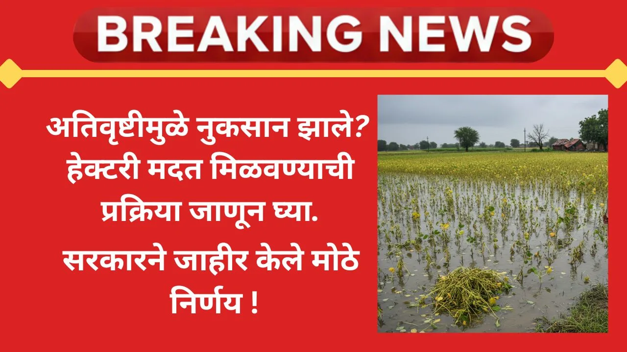 marathwada-farmer-hectare-compensation