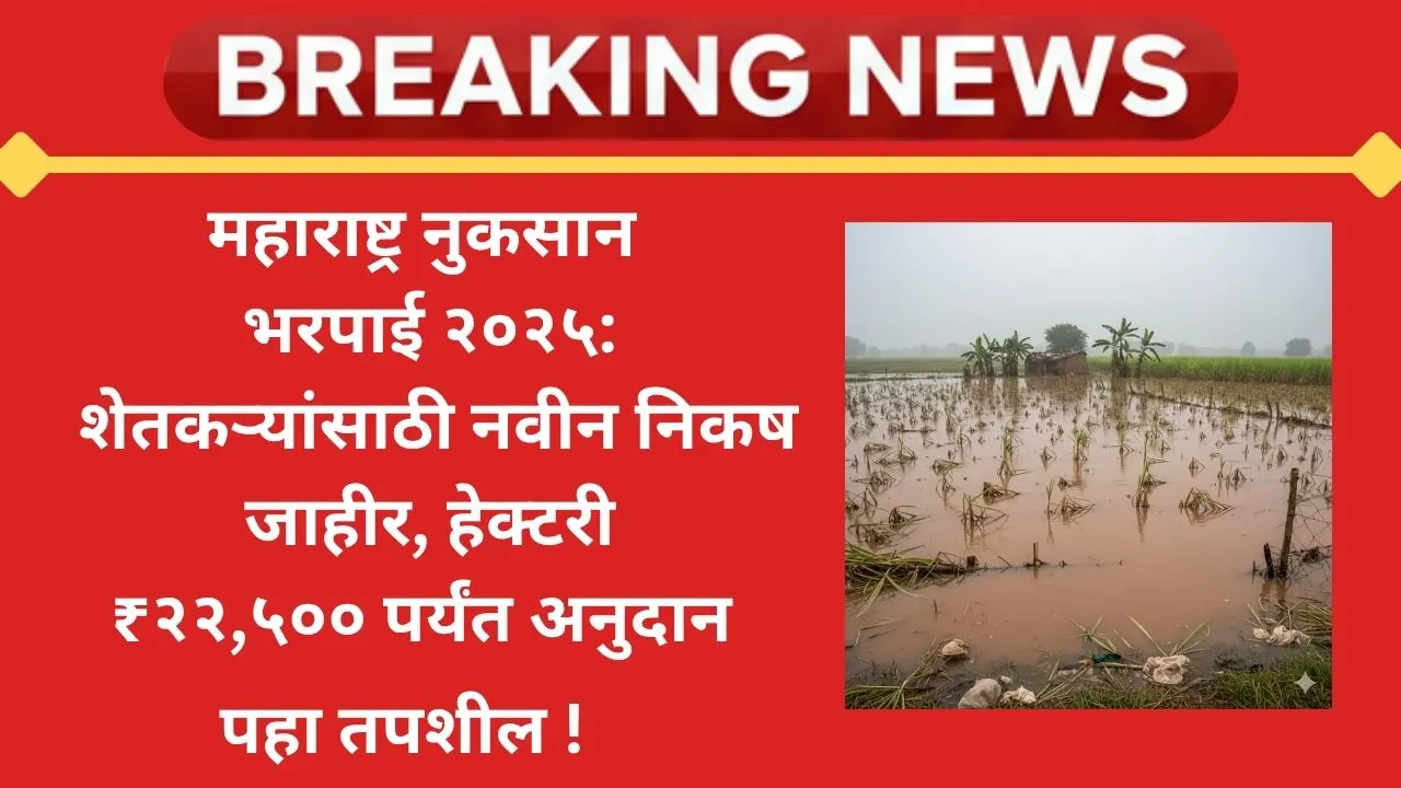maharashtra-nuksan Bharpai Yadi 2025