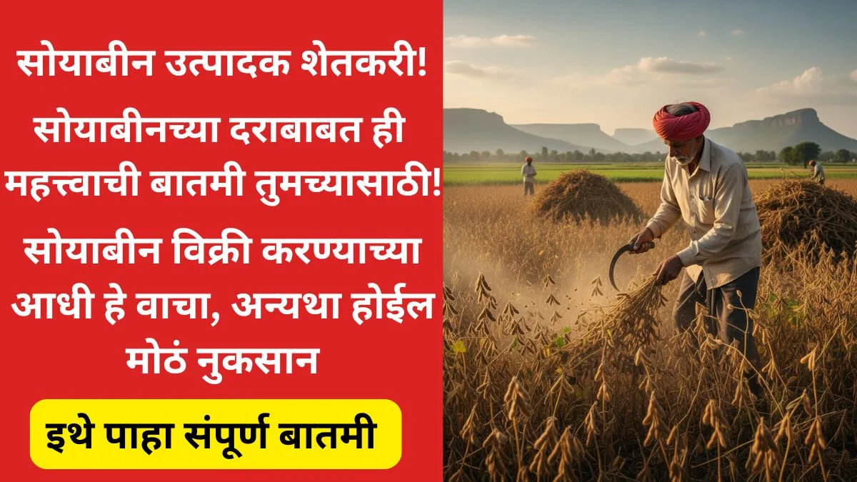 soyabean-hamibhav-2025