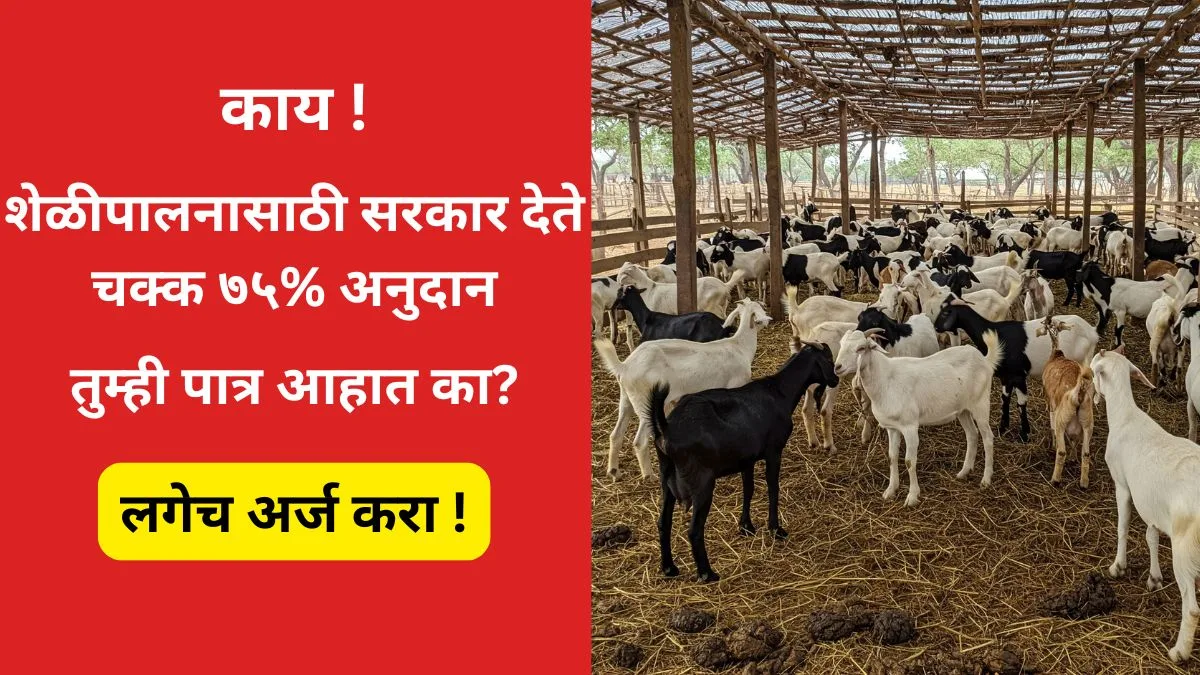 shelipalan-yojana-maharashtra-2025