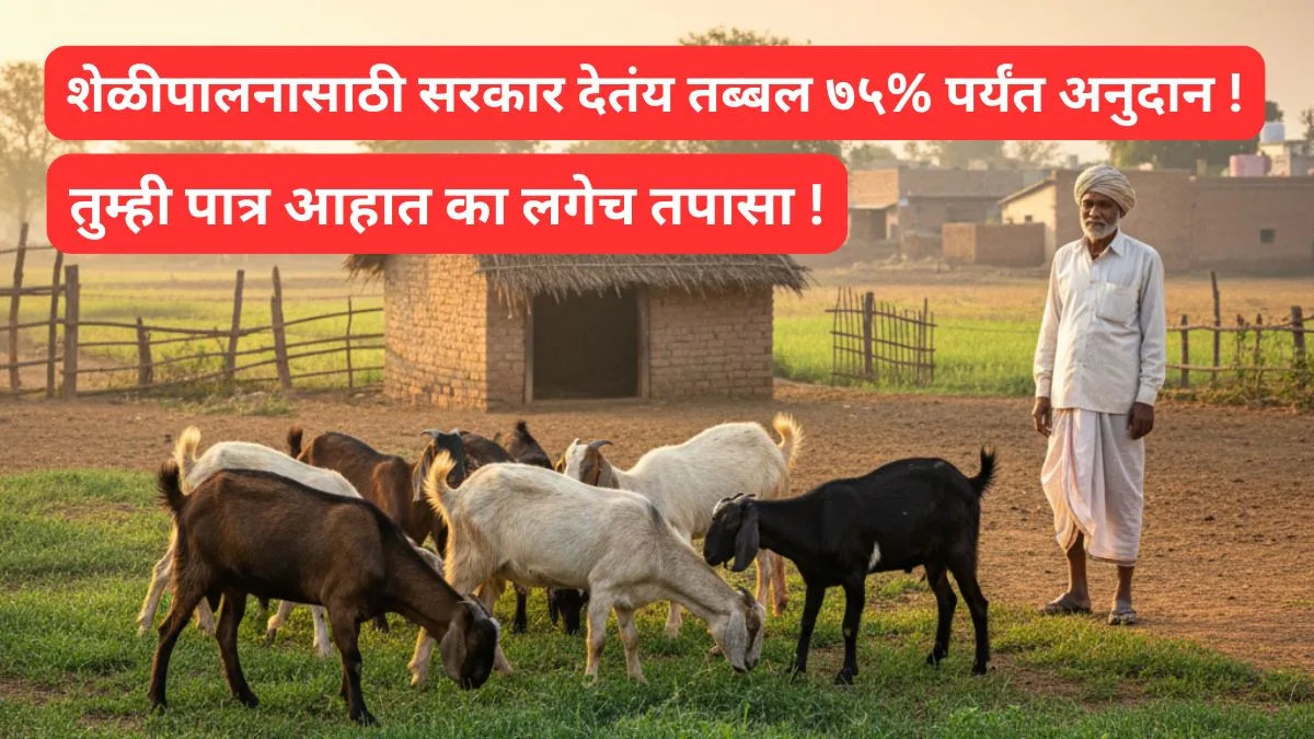 sheli palan last date online apply