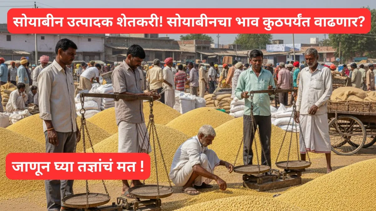 soyabin latest bajarbhav