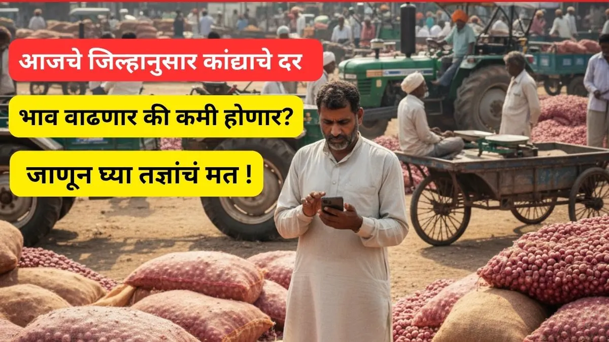 aajche-kanda-bhav-maharashtra-district-wise