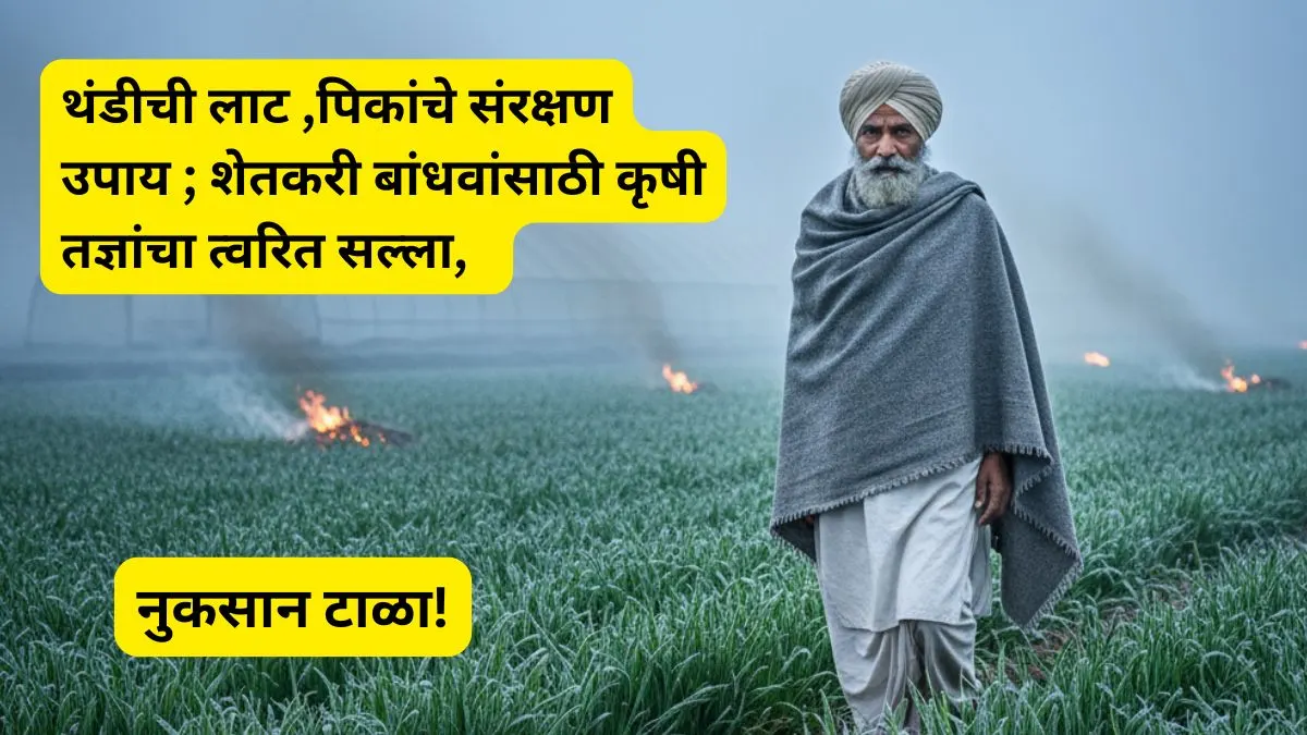 maharastra aajache hawaman update