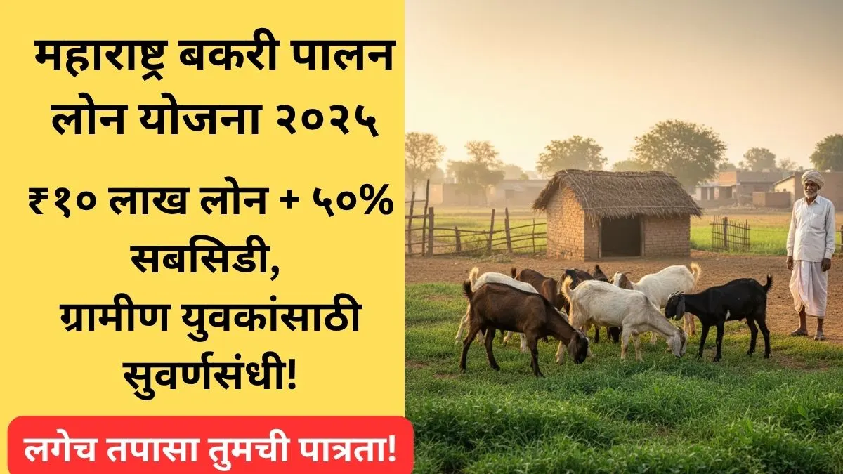 goat-farming-loan-yojana-maharashtra-2025-nabard-subsidy-benefits