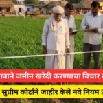 patnicha-navavar-zamin-kharidi-supreme-court-decision-2025