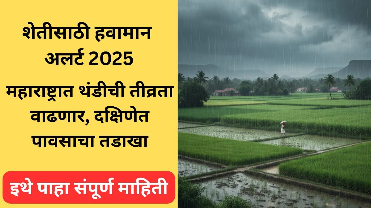 maharashtra-weather-alert-cold-wave-heavy-rain-16-20-nov