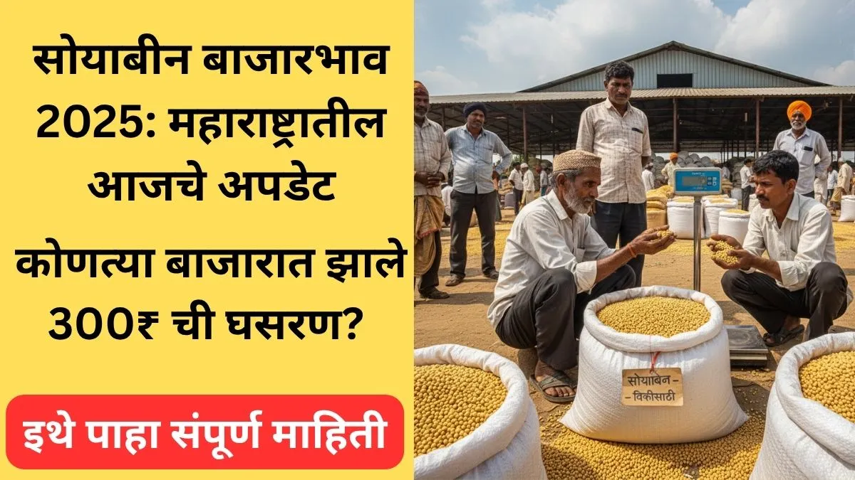 soybean-bajarbhav-maharashtra-2025
