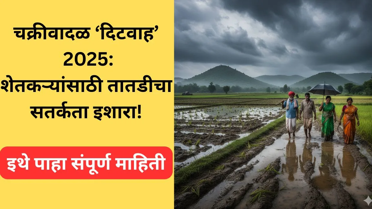 cyclone-ditwah-2025-relief