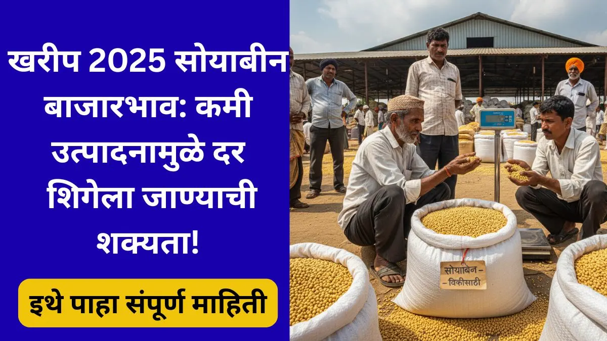 soybean-price-forecast-2025-maharashtra-market-rate-update