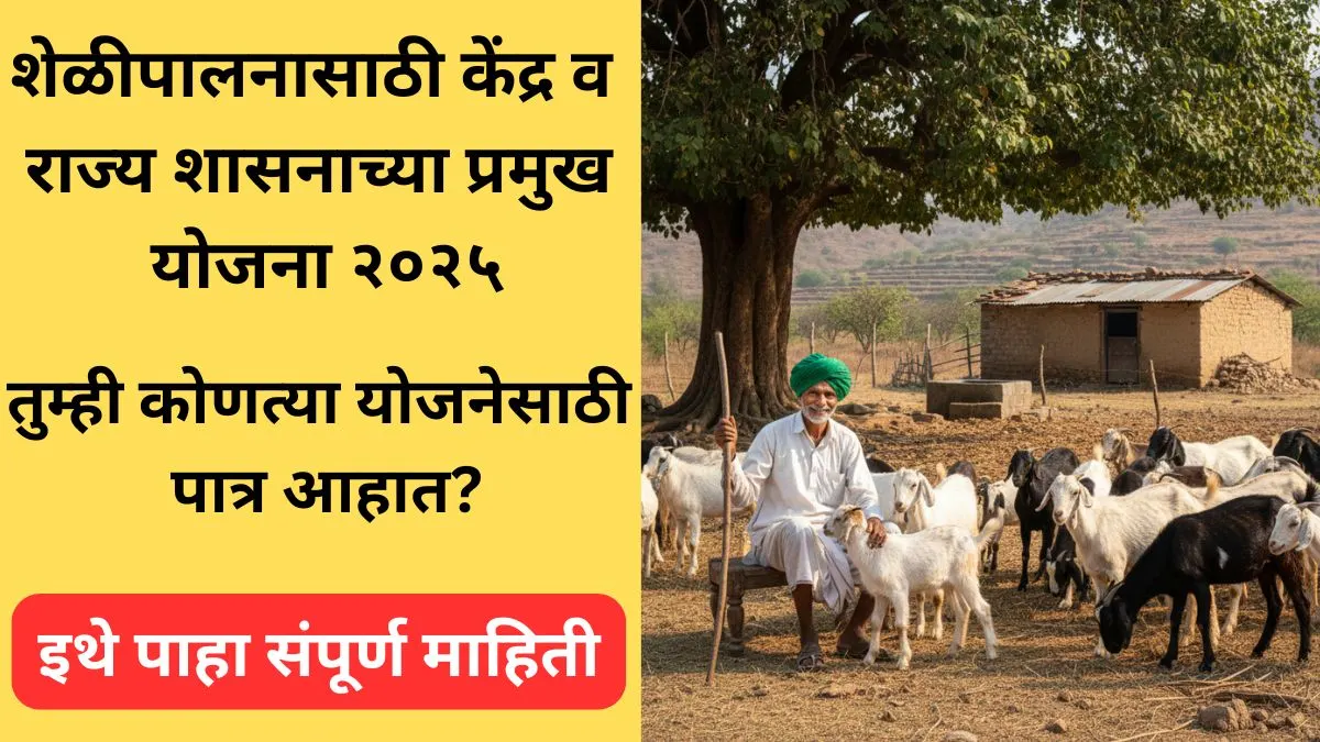 sheli palanasathi kendra rajya anudan/loan yojana 2025