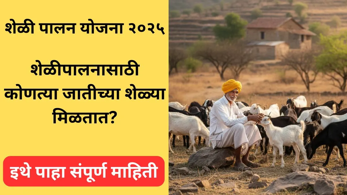 sheli-palan-yojana-kontya-jatichya-shelya-miltat-2025-maharashtra