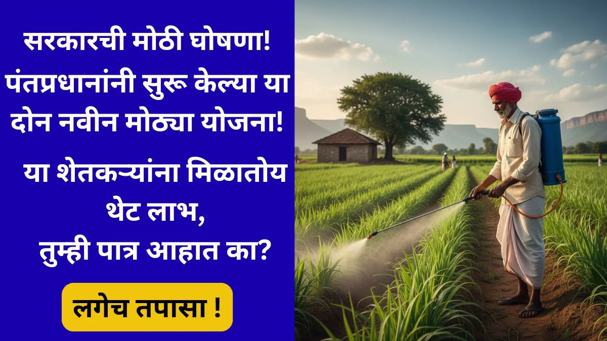 dal kadadhanya yojana 2025