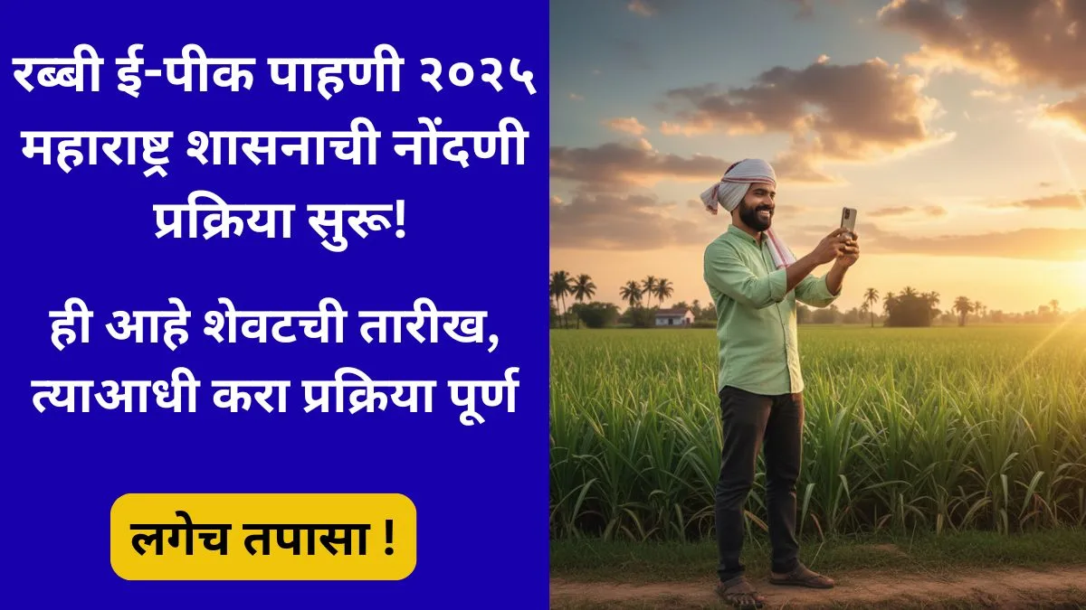 rabi-e-peek-pahani-maharashtra-2025