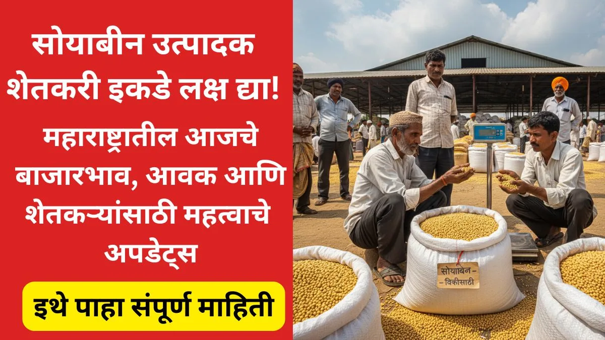 soyabean-dar-maharashtra-2025
