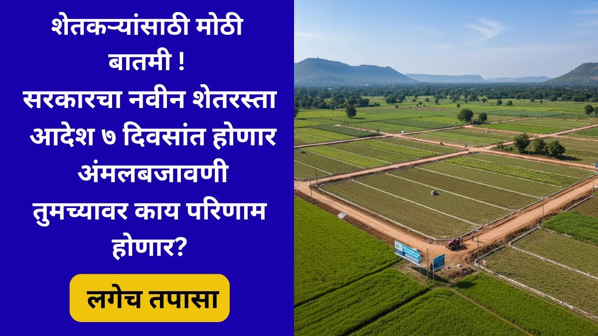 shet-rasta-order-7-days