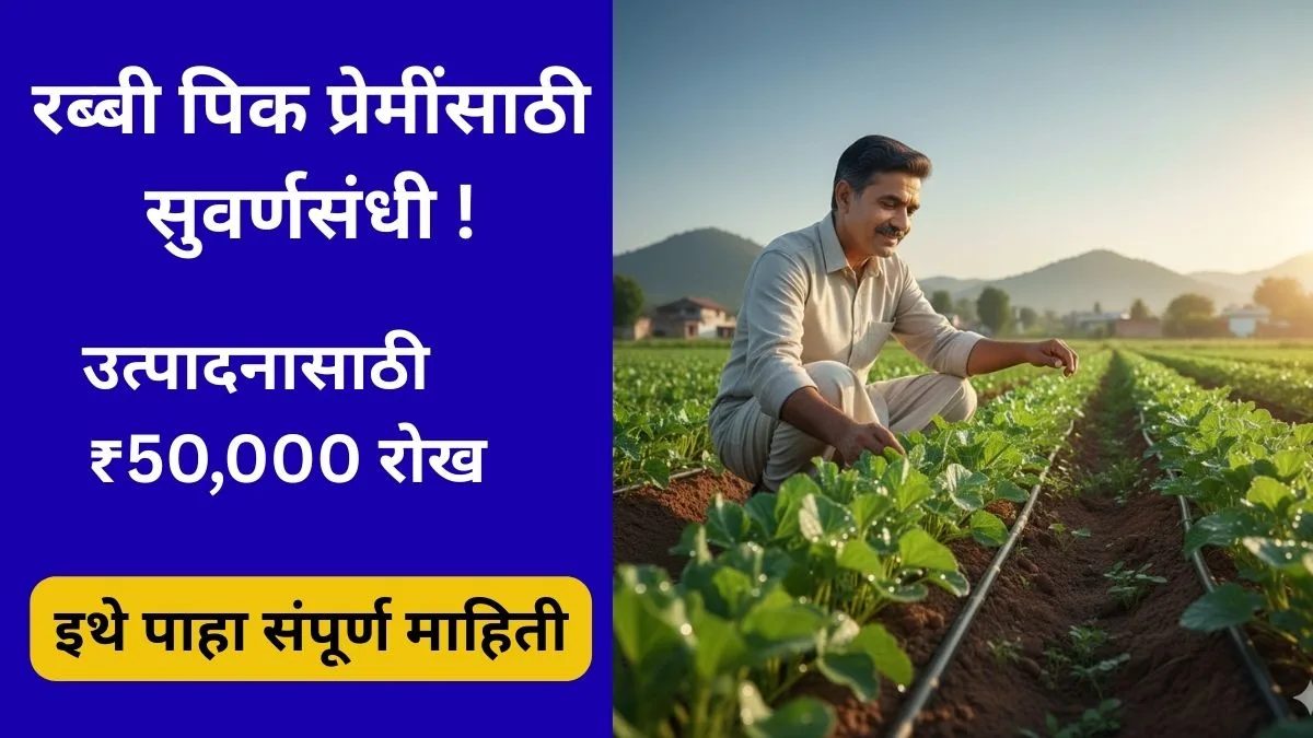 rabbi-pik-utpadakta-50000-bakshis-2025