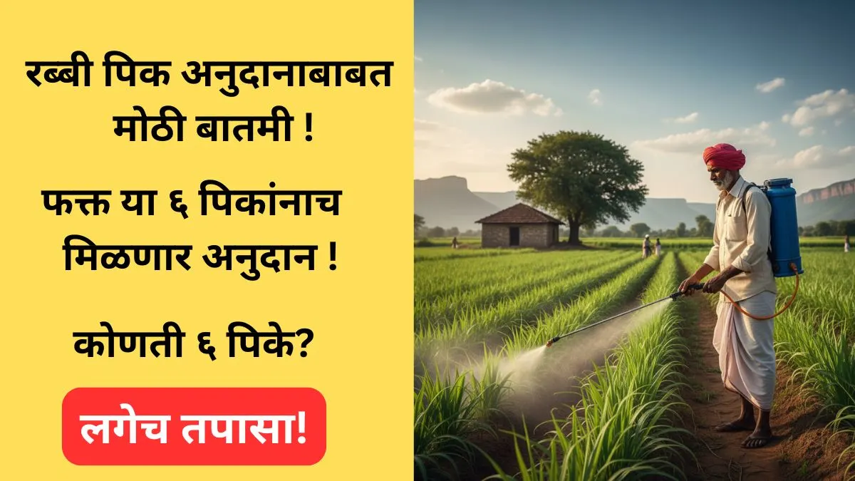 rabi pik anudan crop list 2025