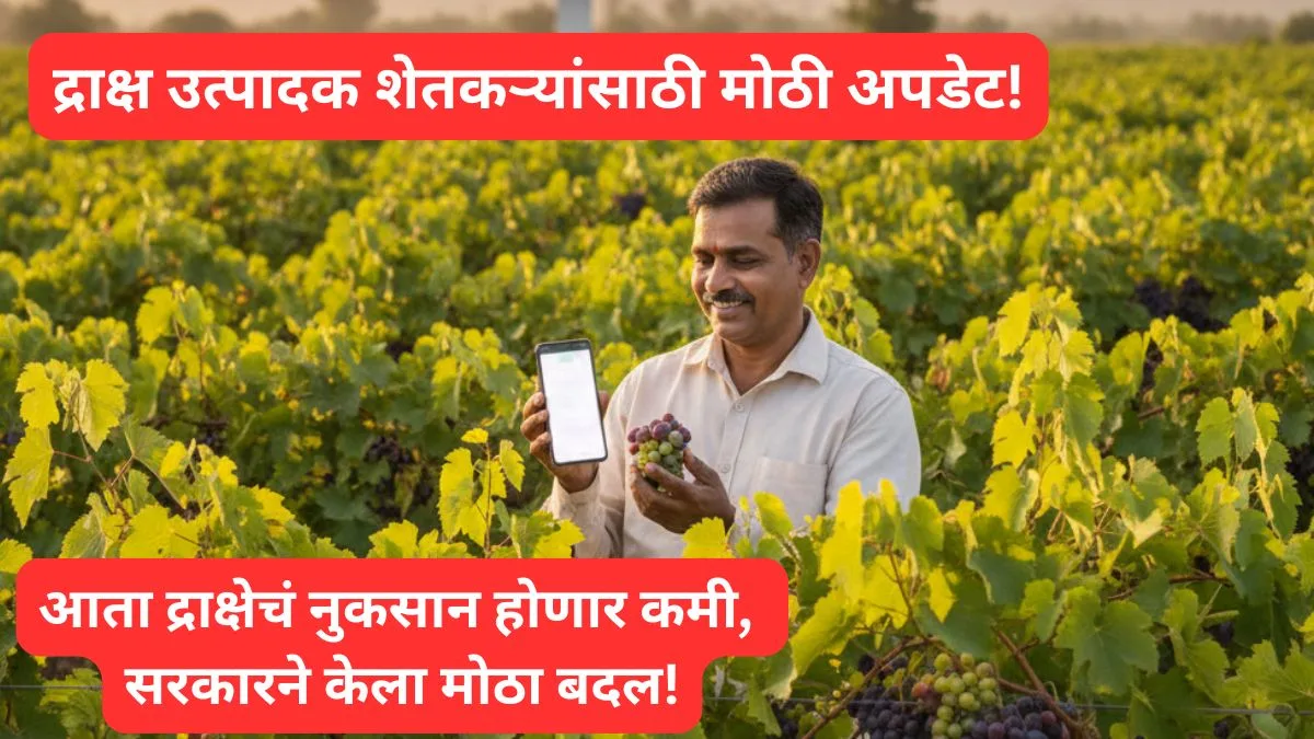 draksha nuksan bharpai 2025