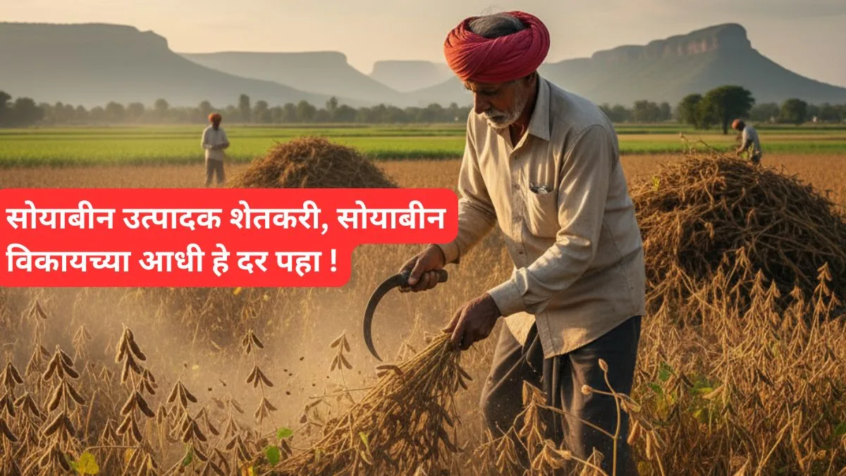 soyabin jilhanihay latest dar list 2025