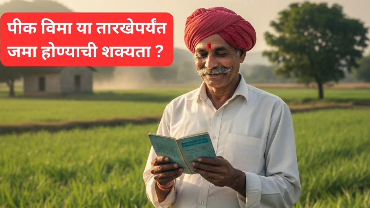 pik vima kadhi jama honar 2025