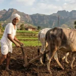 shetjamin kharedi anudan